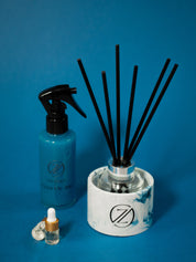 Reed Diffuser & Room Spray- Gulp of Air